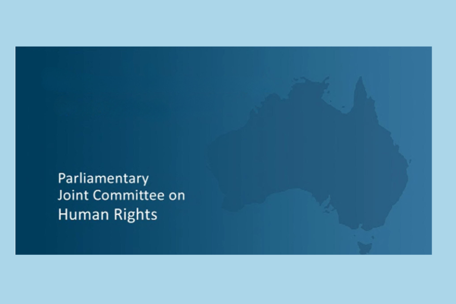 Human Rights Framework Public Hearing